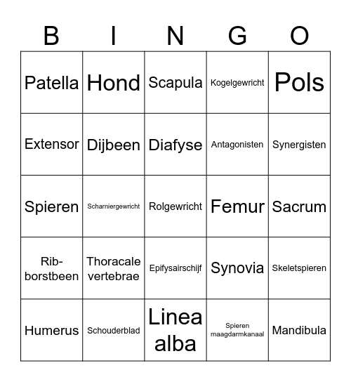 Bewegingsstelsel Bingo Card