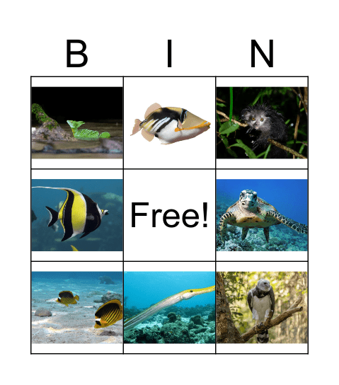 Animal Bingo 1 Bingo Card