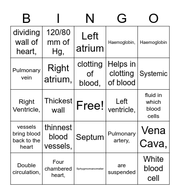 Transport in Animals Bingo Card