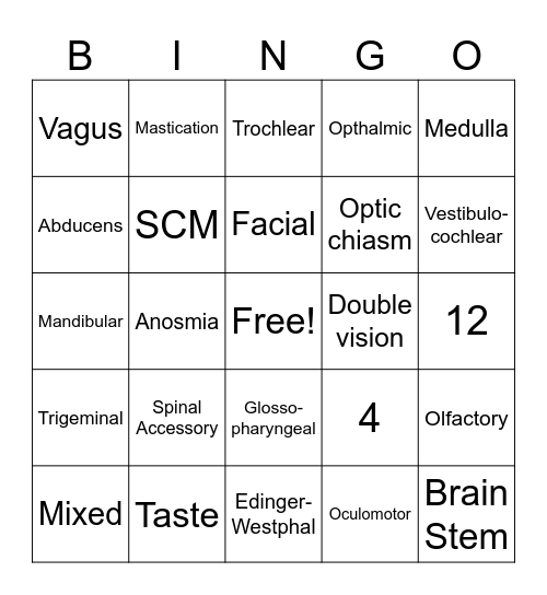 Cranial Nerve Bingo Card