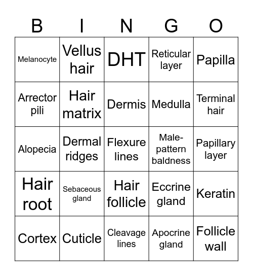 Ch. 5 Buzz Words Bingo Card