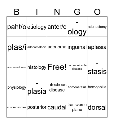 Medical Terminology Ch. 2  Bingo Card