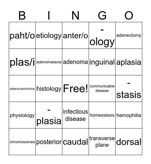 Medical Terminology Ch. 2  Bingo Card