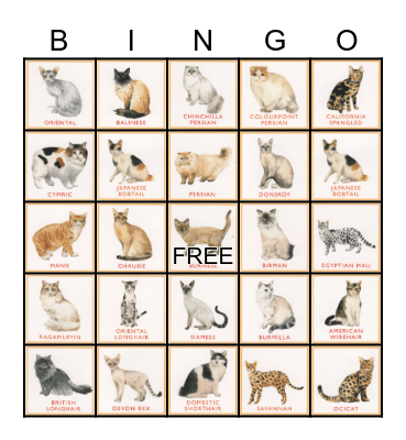 Cat Breeds Bingo Card