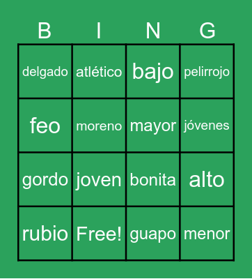 Adjectives of Physical Description Bingo Card