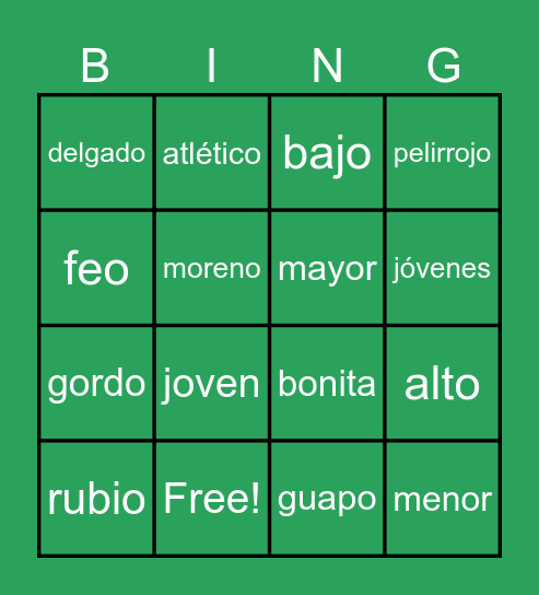 Adjectives of Physical Description Bingo Card