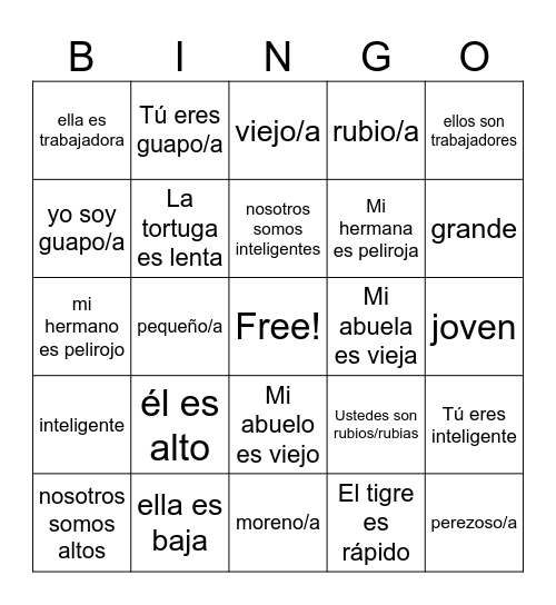 adjetivos with ser Bingo Card