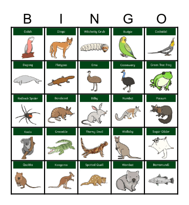 Australian Animals Bingo Card