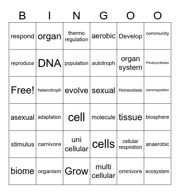 Unit #2 Bingo Card