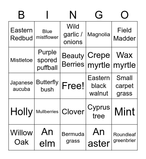 Plant Bingo Card