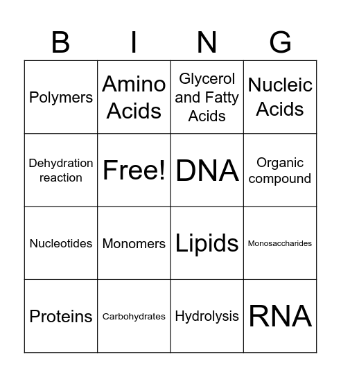 Macromolecules Bingo Card