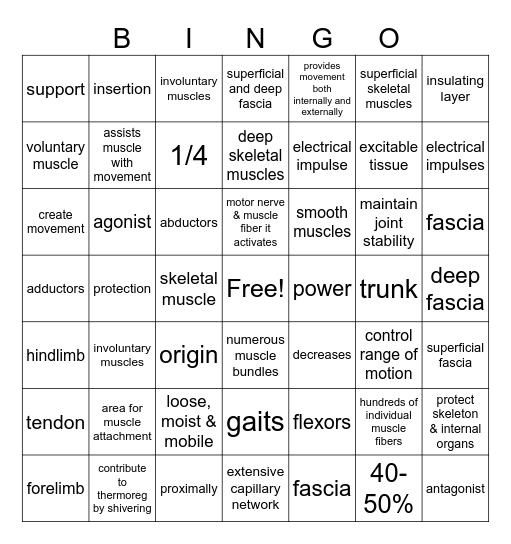 Muscles Bingo Card