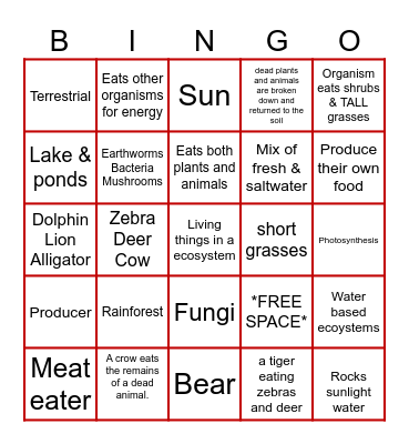 Classification and Taxonomy Bingo Card