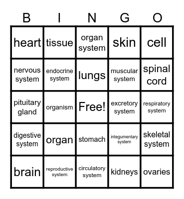 Human Body Bingo Card