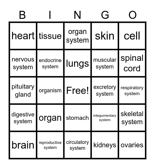 Human Body Bingo Card