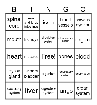 Human Body Bingo Card