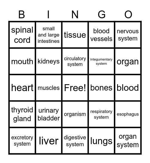 Human Body Bingo Card