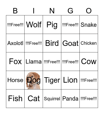 Animal Bingo Card
