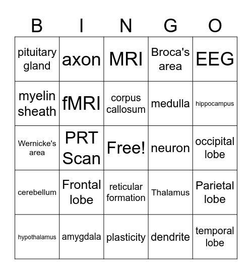 Brain  Bingo Card