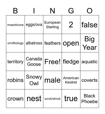 Birding Class South JHS 24-25 Bingo Card