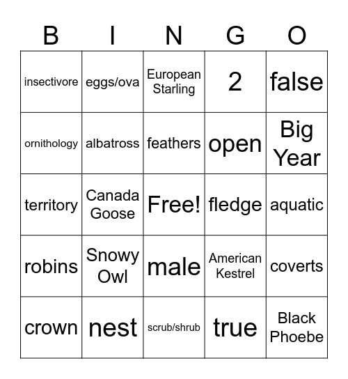 Birding Class South JHS 24-25 Bingo Card