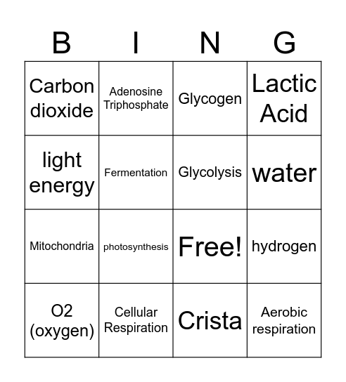 Cellular Respiration Bingo Card