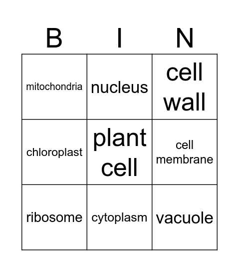 Plant cell parts Bingo Card