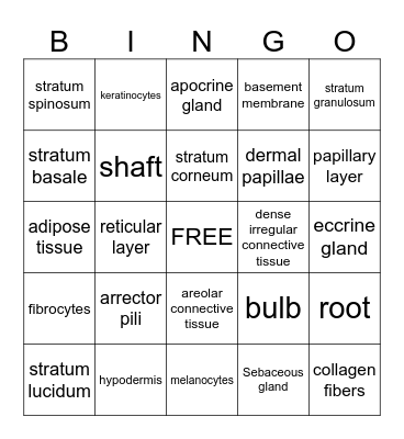 Integument System Bingo Card