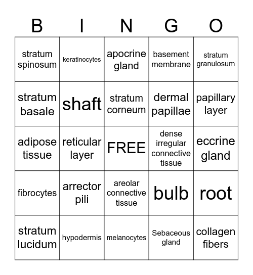 Integument System Bingo Card