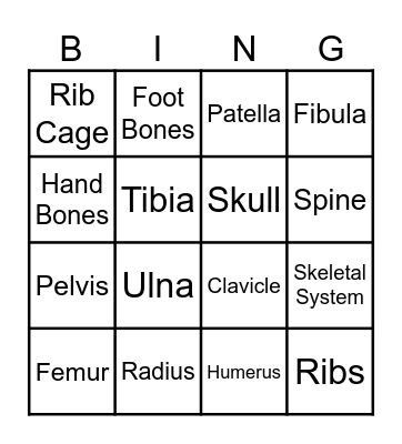 Skeletal System Bingo Card