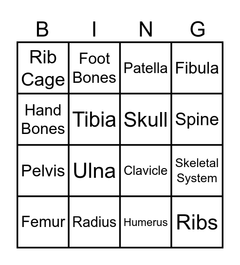 Skeletal System Bingo Card