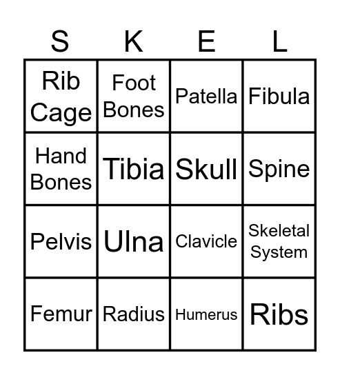 Skeletal System Bingo Card