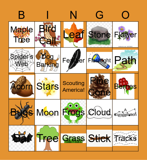 Pack 45 Night Hike Bingo Card