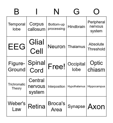 PSYC 2301 Exam 2 Review Bingo Card