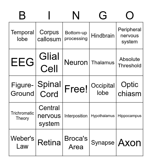 PSYC 2301 Exam 2 Review Bingo Card