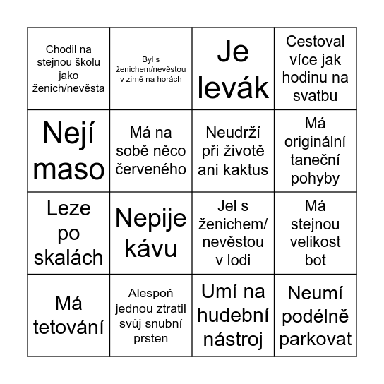 Najdi hosta, který: Bingo Card