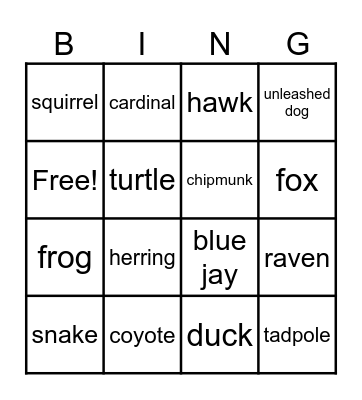 Nature Walk Bingo Card