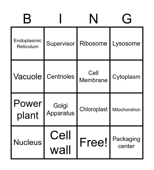 Cell Organelle Bingo Card