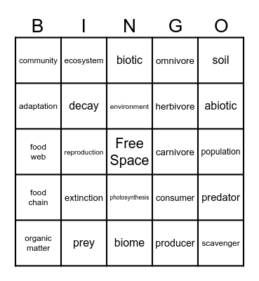 Ecosystem Vocabulary Bingo Card