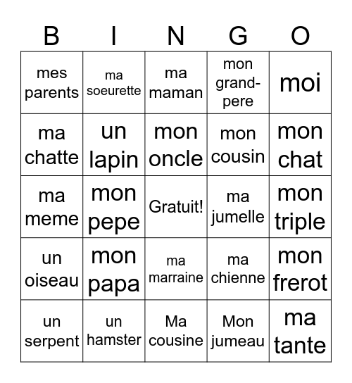 Arushi Cholleti Bingo Card