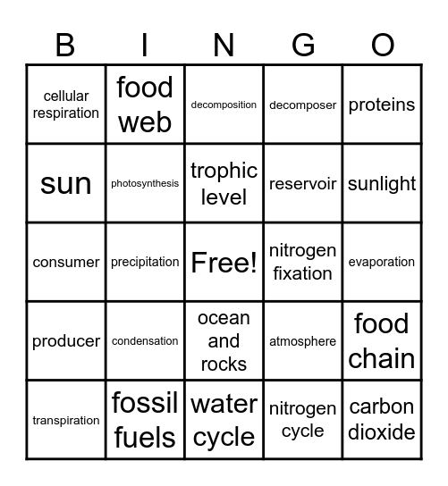 Earth Cycles Bingo Card