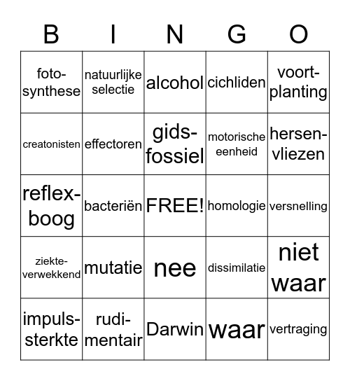 Thema 5 en Thema 6 Bingo Card