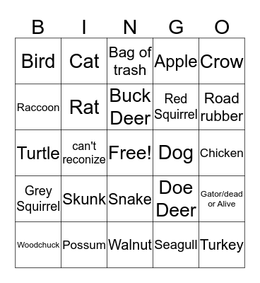 Road Kill  Bingo Card