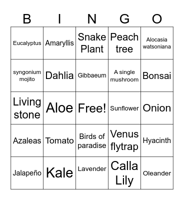 Plants! Bingo Card