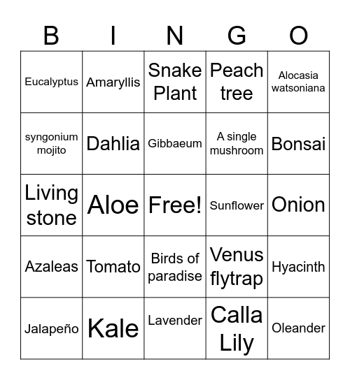 Plants! Bingo Card