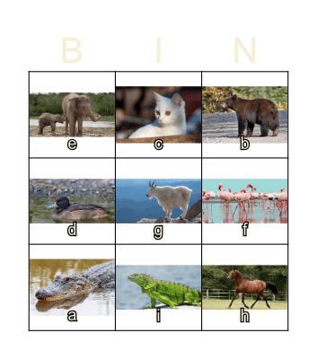 Animal Bingo Card