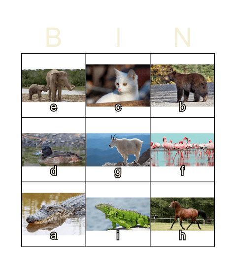 Animal Bingo Card