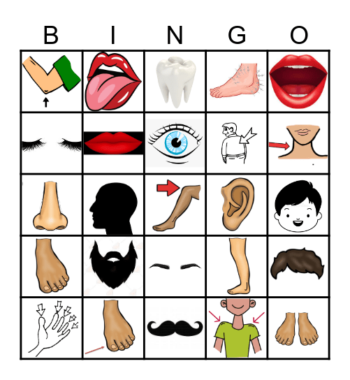 Partes do Corpo 2 Bingo Card