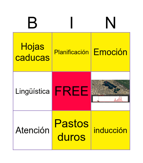 BINGO-BIOMA Bingo Card