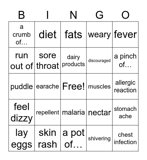 Vocabulary Unit 2 Bingo Card